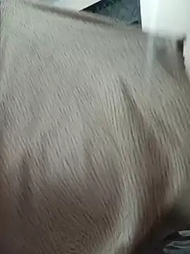 Your_SugarBaby- Live Chatraum