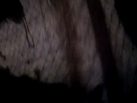 Živá chatovací místnost Isabella_pusy