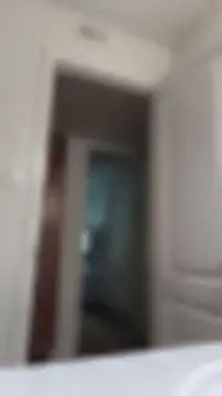BaileyMFox Live Chatrum