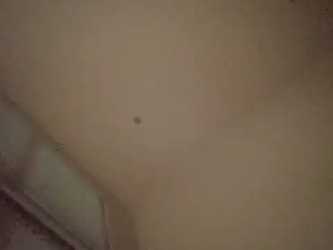 Sala de chat en directo de RightishResolve