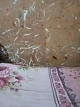 غرفة دردشة Shila_bby المباشرة