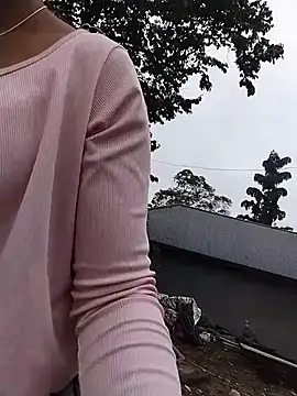Sea-ice Cameră chat live