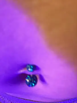 CataNexus_Dg Cameră chat live
