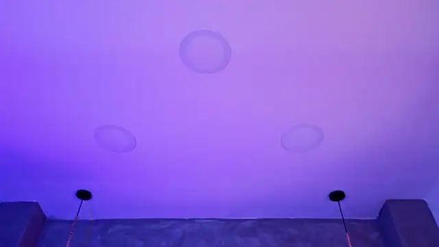 Sala de chat en directo de Violetta_rose_