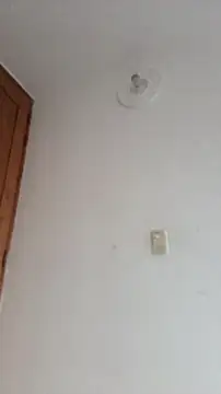DanaaCollins Cameră chat live