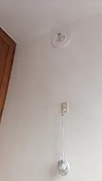 DanaaCollins Cameră chat live