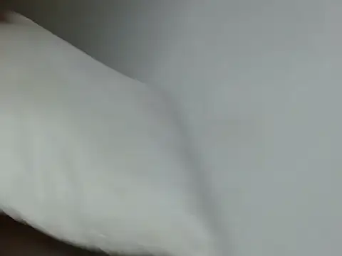 catalina_salo 现场聊天室