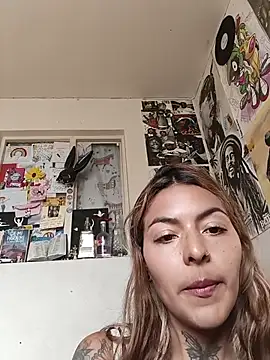Sala de chat ao vivo de evafuckasd