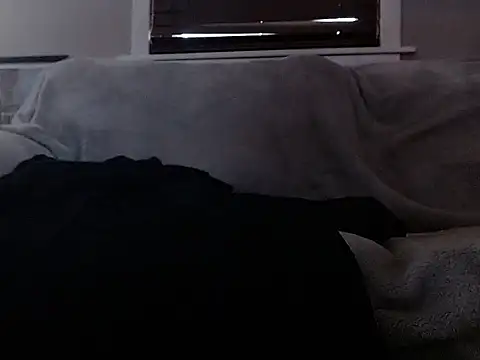 studlyhardwoodd Live Chatraum