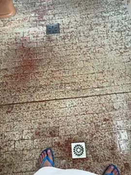 חדר צ'אט בשידור חי של Nobrelion89