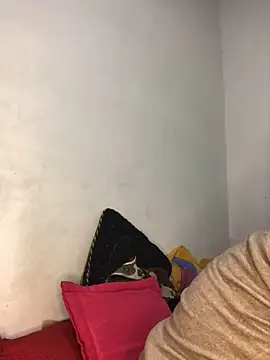 EliVanegas Ruang Obrolan Langsung