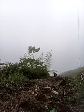 Chat ao vivo de Beola-mi
