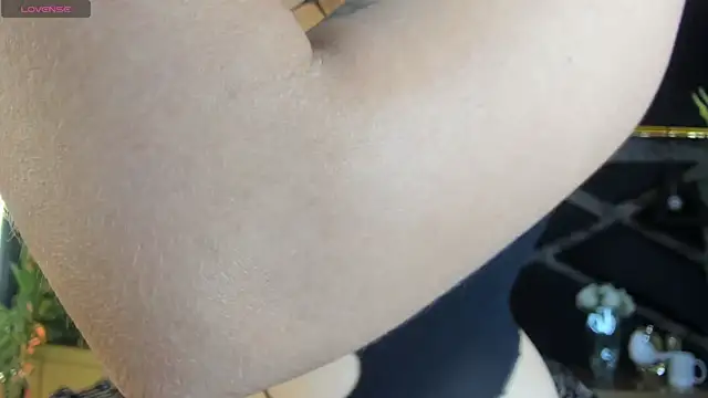 Sala de chat ao vivo de SandyFeral