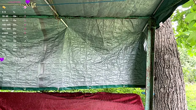 Sala de chat ao vivo de AlberthaBudd