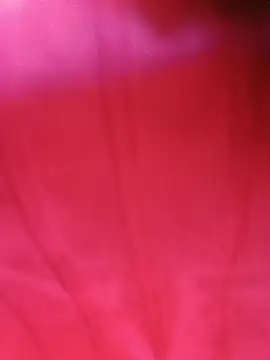 Chat ao vivo de bela14