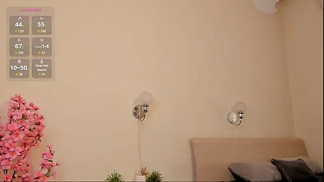 חדר צ'אט בשידור חי של PaleAurix