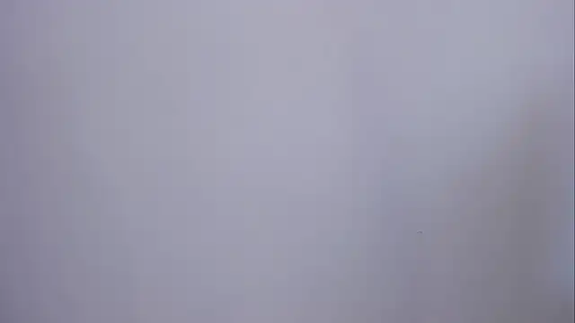 Sala de chat ao vivo de nia_lovy