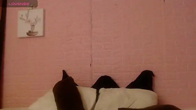 majumei Live Chatraum