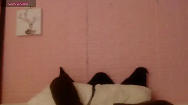 majumei Live Chatraum