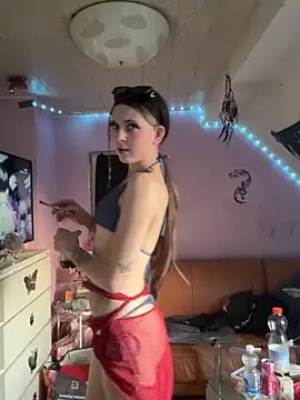 Lina-420 – Kamerová šou