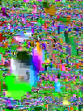 monellina66 Live Chatraum