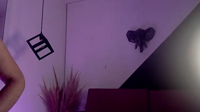 Veronica-knox 실시간 채팅방