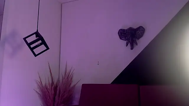 Sala de chat en directo de Veronica-knox