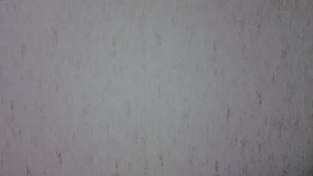 georgymaryhi Live Chatraum