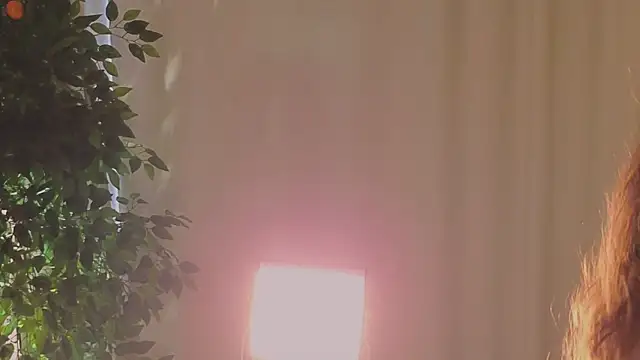 Alice-Lidel Live Chatraum