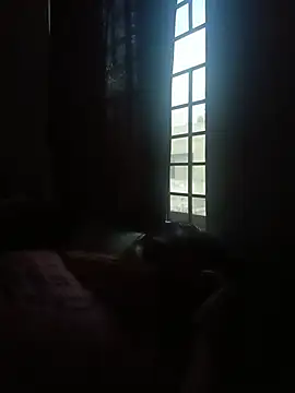 Hansikatelugu élő chatszobája