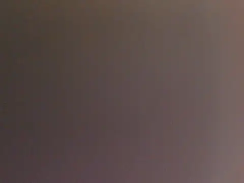 foxylady4u's Live Chat Room