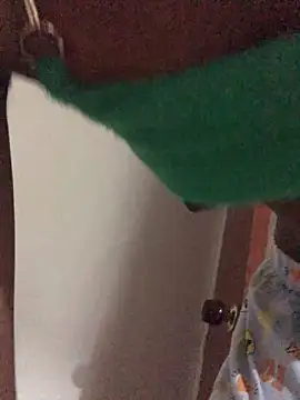 vicky_rosex Live Chatraum