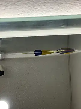 Sala de chat en directo de Noa_lau