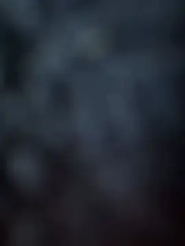Evelin_Hellsing Live Chatraum