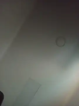 Živá chatovací místnost anisuescun
