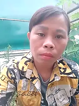 daisyy2 live-chat rom