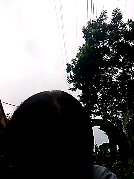 Živá chatovací místnost daisyy2