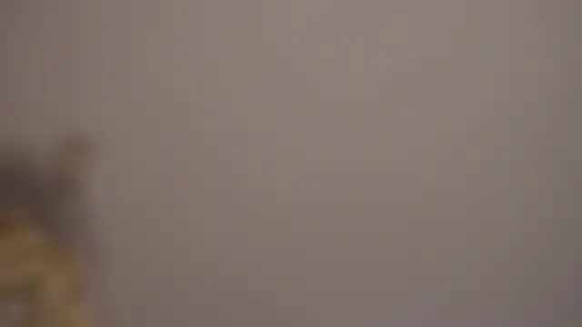 MiaVelvety Live Chatrum