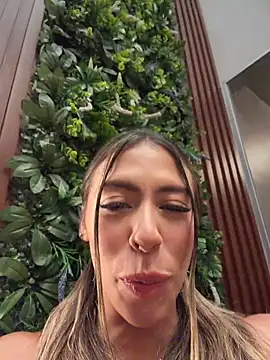 Chat ao vivo de Palmer__