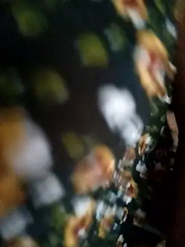 yaja-chan Live Chatraum