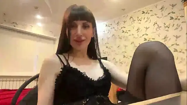 CanarySol Live chatroom