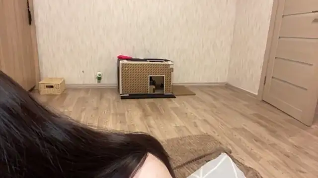 חדר צ'אט בשידור חי של WarmDreams