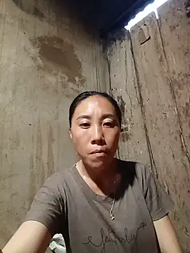 Jinli_01 live-chat rom