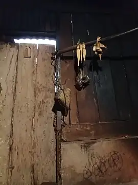 Jinli_01 Cameră chat live