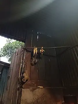 Jinli_01 Live Chatraum