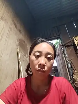 Jinli_01 live-chat rom