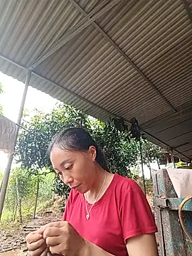 Jinli_01 live-chat rom