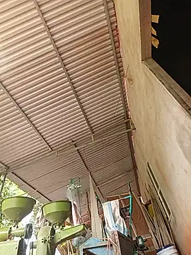 חדר צ'אט בשידור חי של Jinli_01