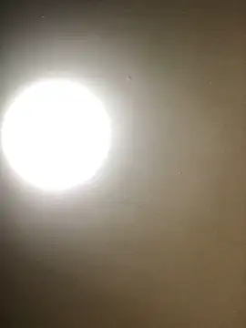 Sala de chat en directo de nidejiejie
