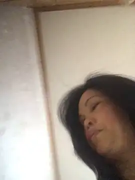 nidejiejie Live Chatraum